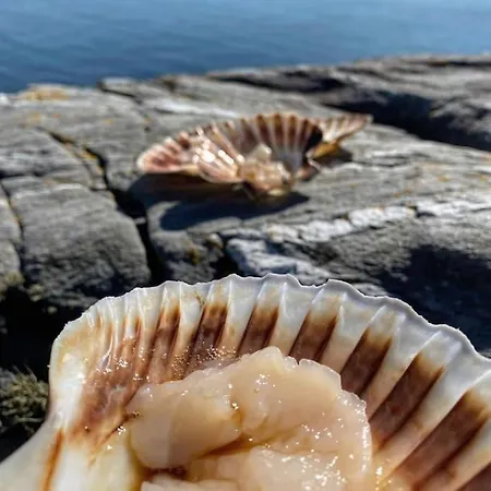 Unique By The Norwegian Coast. Private *
