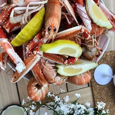 Unique By The Norwegian Coast. Private * Lokoy